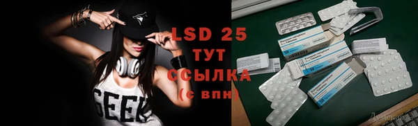 a pvp Магас